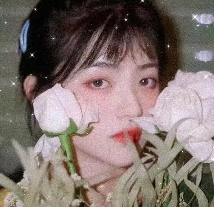 美丽心灵